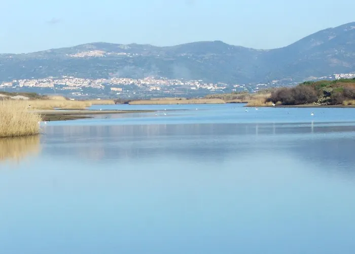 Ananas 2 A By Interhome